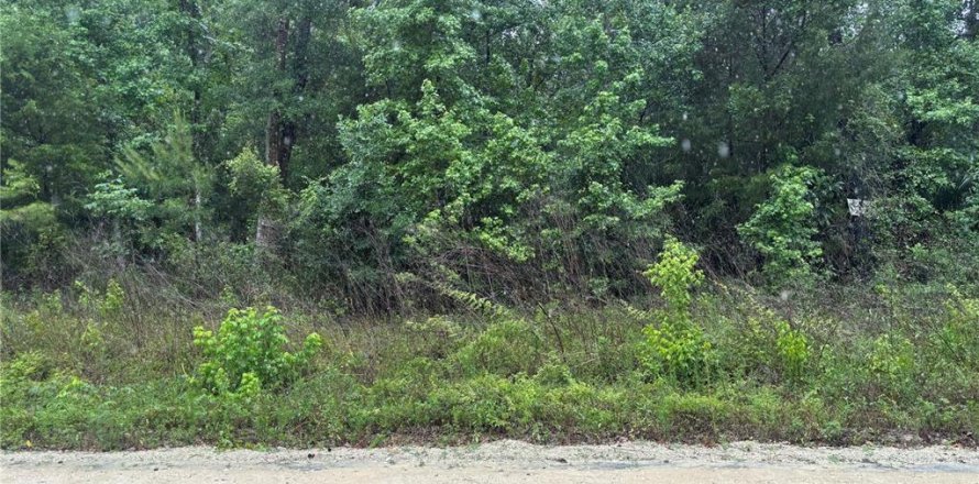 Terrain à Ocala, Floride № 2214022