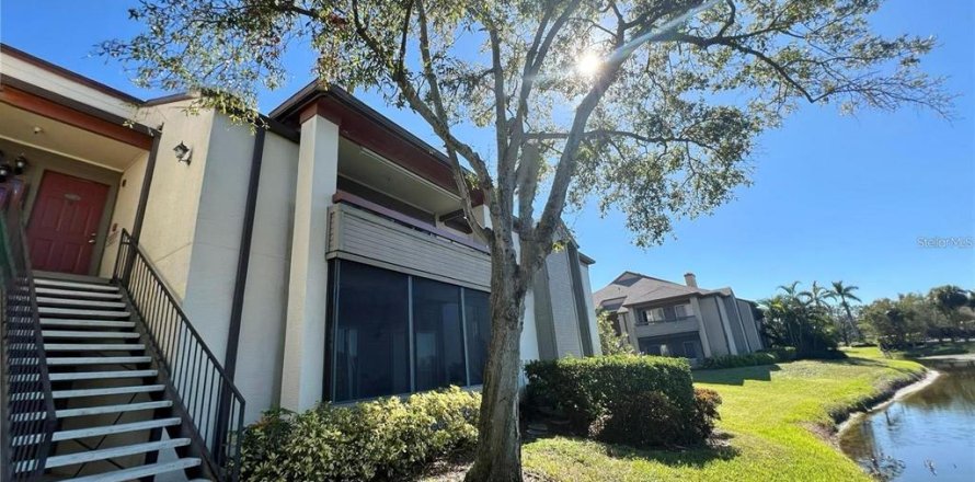 Condo à Saint Petersburg, Floride, 1 chambre № 2369072