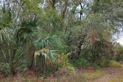 Terrain à vendre à Inverness, Floride № 2162482 - photo 2