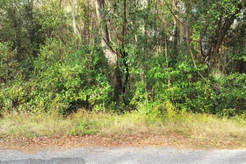 Terrain à vendre à Inverness, Floride № 2162482 - photo 5
