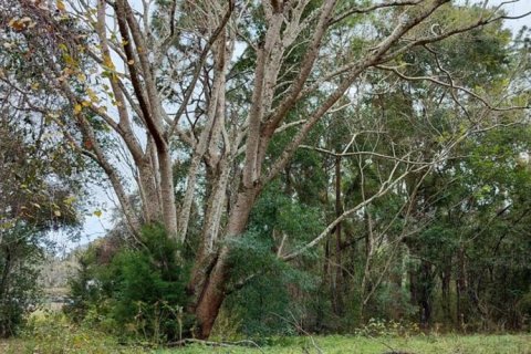 Land in Inverness, Florida № 2162482