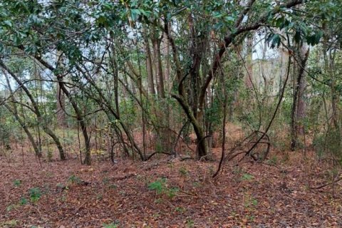 Terrain à vendre à Inverness, Floride № 2162482 - photo 6