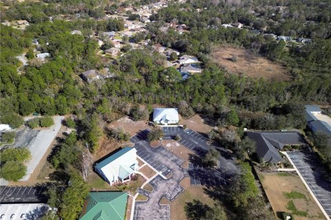 Land in Homosassa, Florida № 1559086 - photo 6