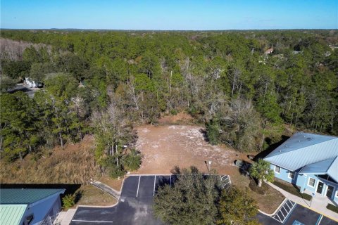 Land in Homosassa, Florida № 1559086 - photo 2