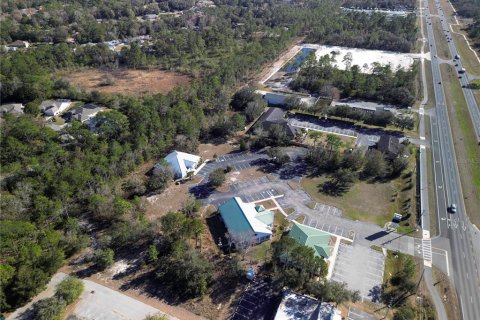 Land in Homosassa, Florida № 1559086 - photo 5