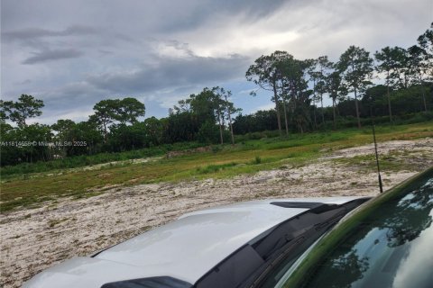 Commercial property in Lake Worth, Florida № 1766689 - photo 6