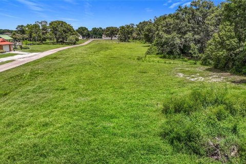 Land in Dover, Florida № 1805163 - photo 6