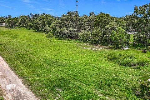 Land in Dover, Florida № 1805163 - photo 5
