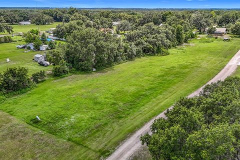 Land in Dover, Florida № 1805163 - photo 4