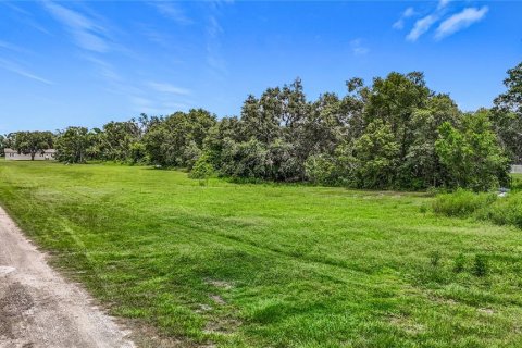 Land in Dover, Florida № 1805163 - photo 2