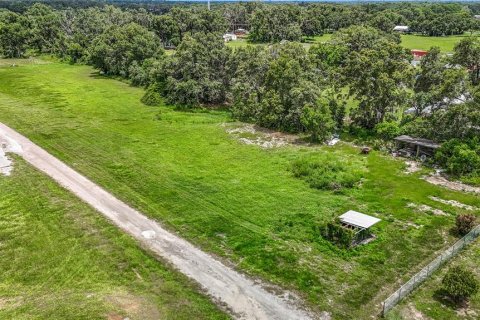 Land in Dover, Florida № 1805163 - photo 3
