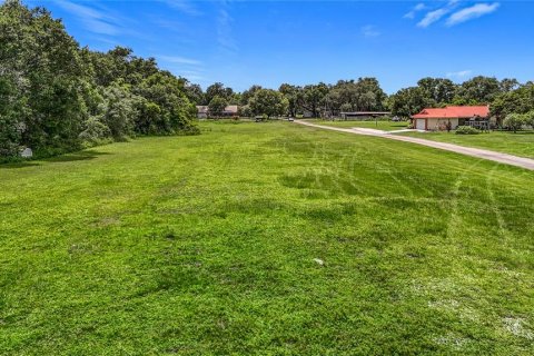 Land in Dover, Florida № 1805163 - photo 7