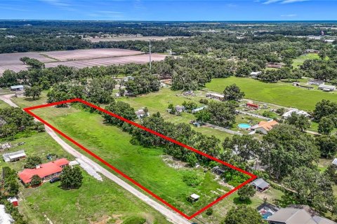Land in Dover, Florida № 1805163 - photo 10