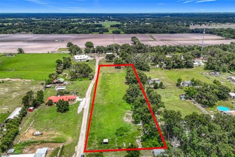 Land in Dover, Florida № 1805163 - photo 11