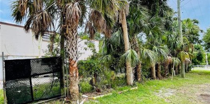Immobilier commercial à Tampa, Floride 371.61 m2 № 1789182