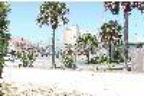 Villa ou maison à louer à New Smyrna Beach, Floride: 3 chambres, 81.2 m2 № 1903316 - photo 15