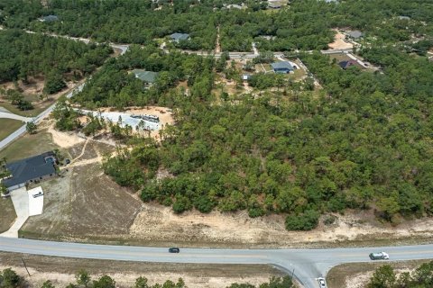 Купить земельный участок в Бевърли Хилс, Флорида № 1242566 - фото 8