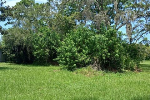Terrain à Hudson, Floride № 2161617