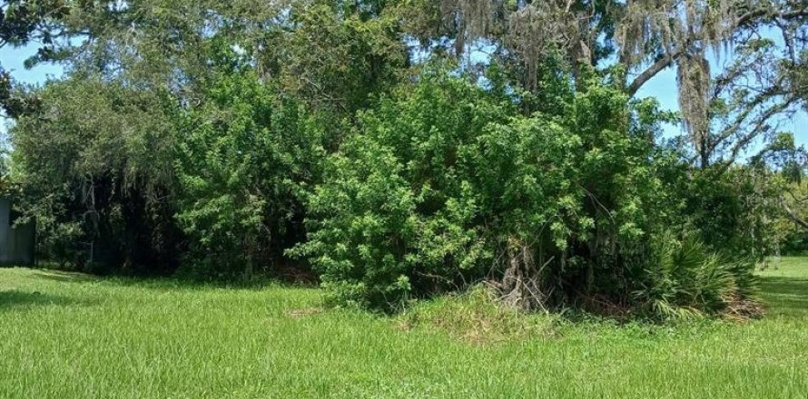 Terrain à Hudson, Floride № 2161617