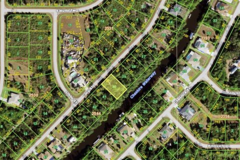 Land in Port Charlotte, Florida № 2376791 - photo 3