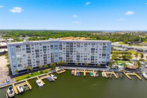 Condo à New Port Richey, Floride, 1 chambre № 2107015