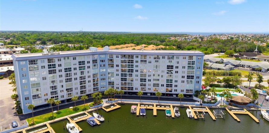 Condo in New Port Richey, Florida, 1 bedroom № 2107015