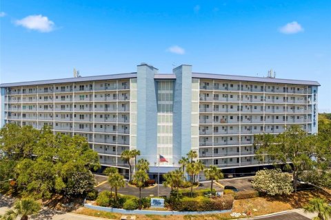 Condo in New Port Richey, Florida, 1 bedroom № 2107015 - photo 6