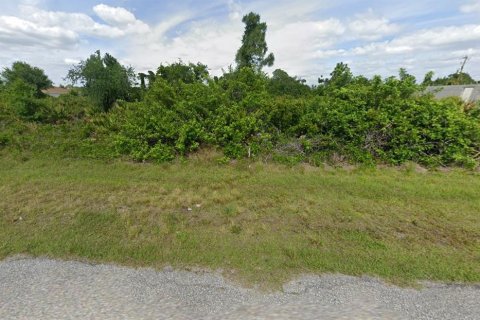 Land in Port Charlotte, Florida № 2159077 - photo 2