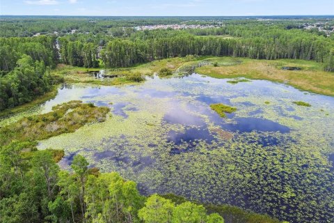 Casa en venta en Land O' Lakes, Florida, 6 dormitorios, 324.14 m2 № 1845339 - foto 5