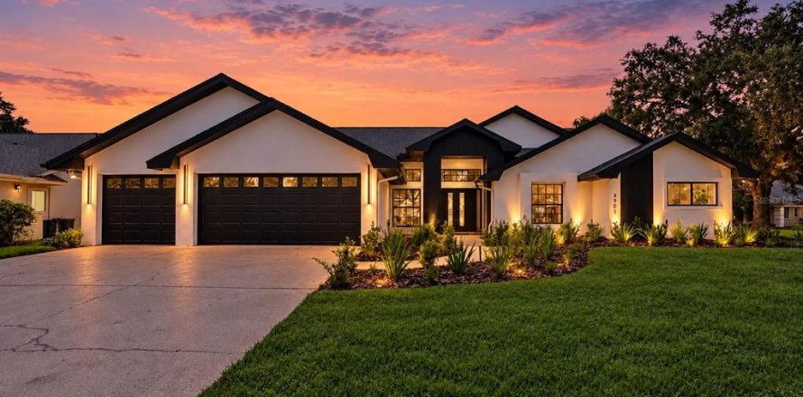 House in Tampa, Florida 5 bedrooms, 289.86 sq.m. № 2414050