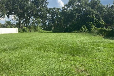 Land in Plant City, Florida № 1885003 - photo 3