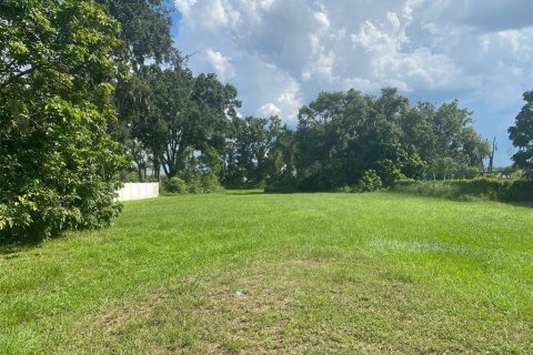Land in Plant City, Florida № 1885003 - photo 1