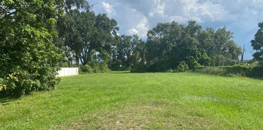 Land in Plant City, Florida № 1885003