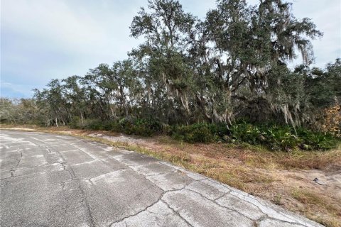 Terrain à Kissimmee, Floride № 2163595