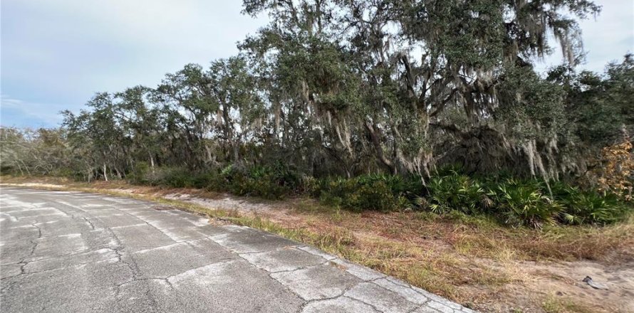 Terrain à Kissimmee, Floride № 2163595