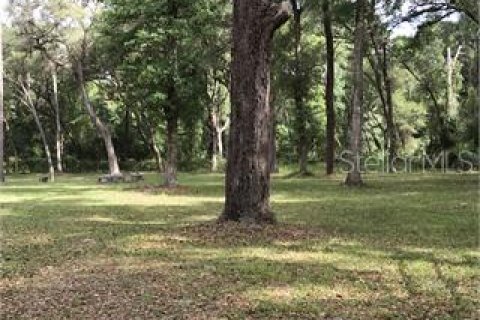 Land in Webster, Florida № 1534683 - photo 2