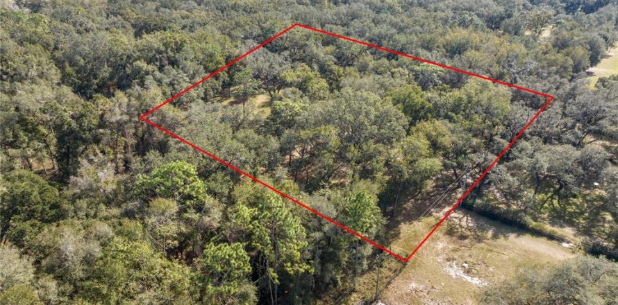 Land in Webster, Florida № 1534683