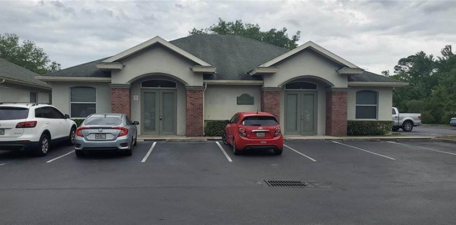 Propiedad comercial en Lutz, Florida 289.11 m2 № 1826367