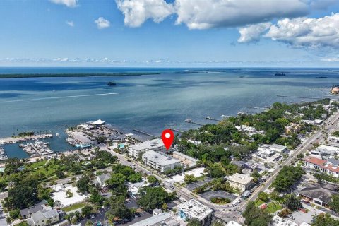 Condo in Dunedin, Florida, 2 bedrooms  № 2386268 - photo 4