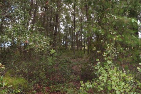 Terrain à vendre à Ocala, Floride № 1918429 - photo 4