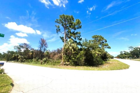 Land in Port Charlotte, Florida № 2164665 - photo 2