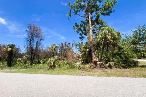 Land in Port Charlotte, Florida № 2164665 - photo 5