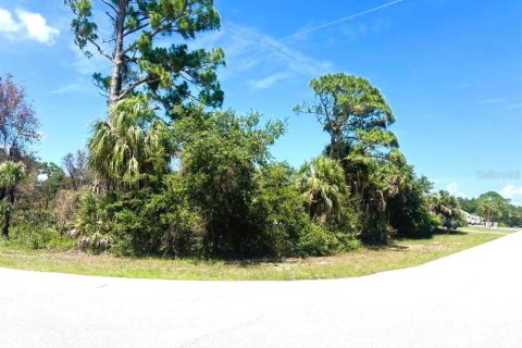 Land in Port Charlotte, Florida № 2164665 - photo 4