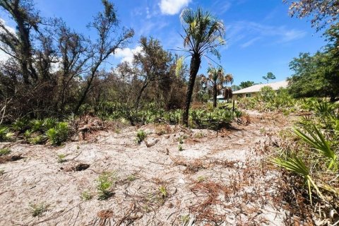 Land in Port Charlotte, Florida № 2164665 - photo 8