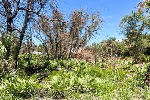 Land in Port Charlotte, Florida № 2164665 - photo 10