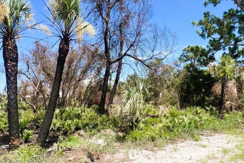 Land in Port Charlotte, Florida № 2164665 - photo 12