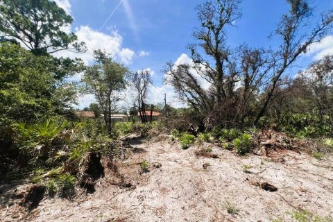 Land in Port Charlotte, Florida № 2164665