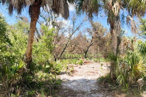 Land in Port Charlotte, Florida № 2164665 - photo 7