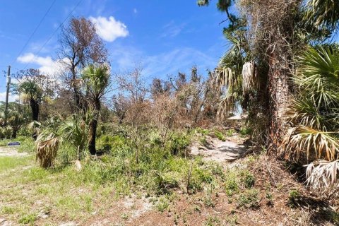 Land in Port Charlotte, Florida № 2164665 - photo 9