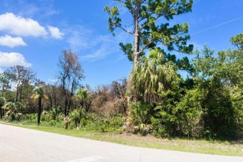 Land in Port Charlotte, Florida № 2164665 - photo 6